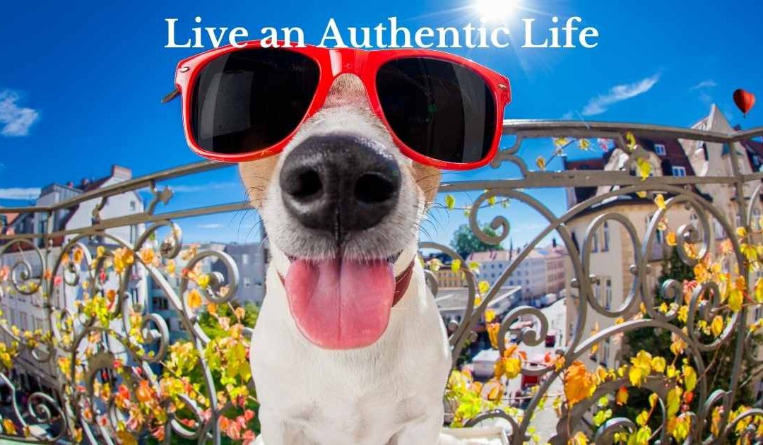 Live an Authentic Life