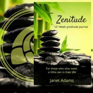 Build Your Resilience Zenitude